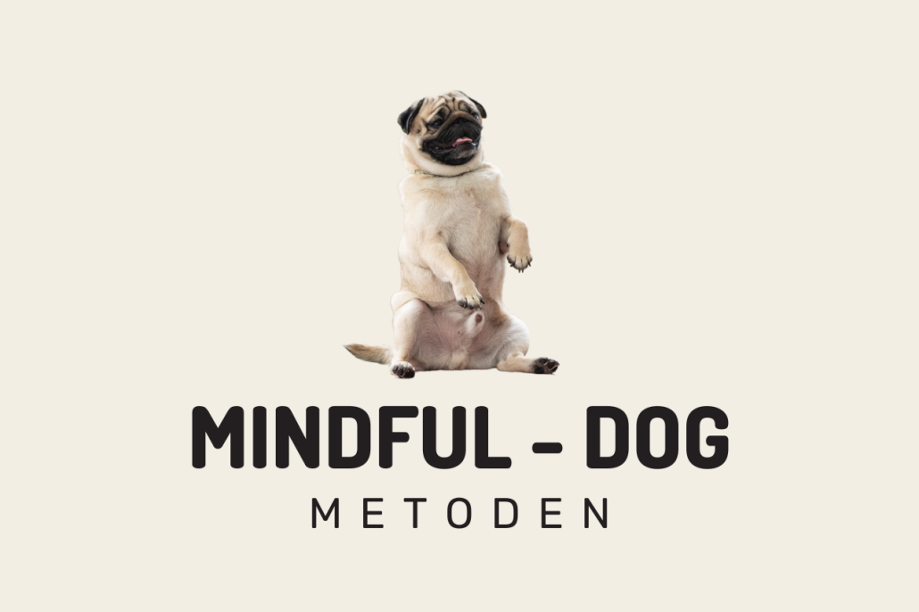 MindfulDog metoden