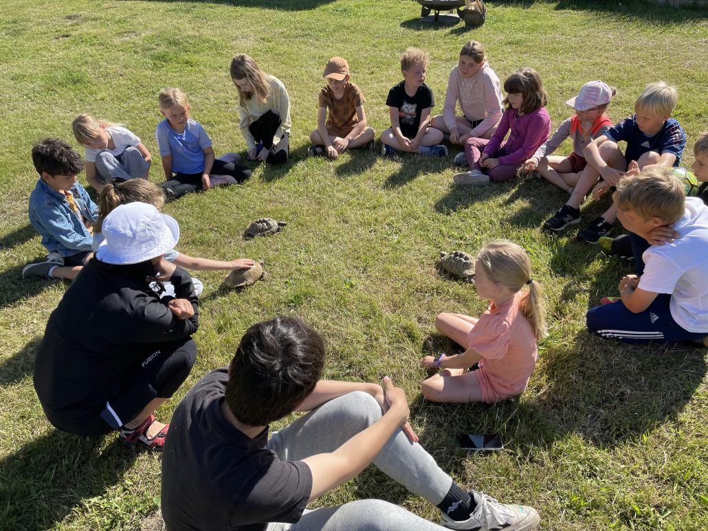 vildmarkskolen